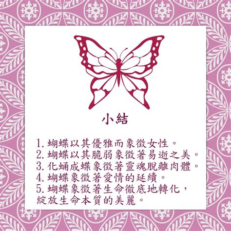 蝴蝶象徵意義 牝穴